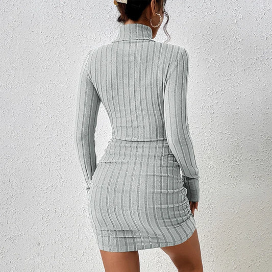Turtleneck Bodycon Mini Dress